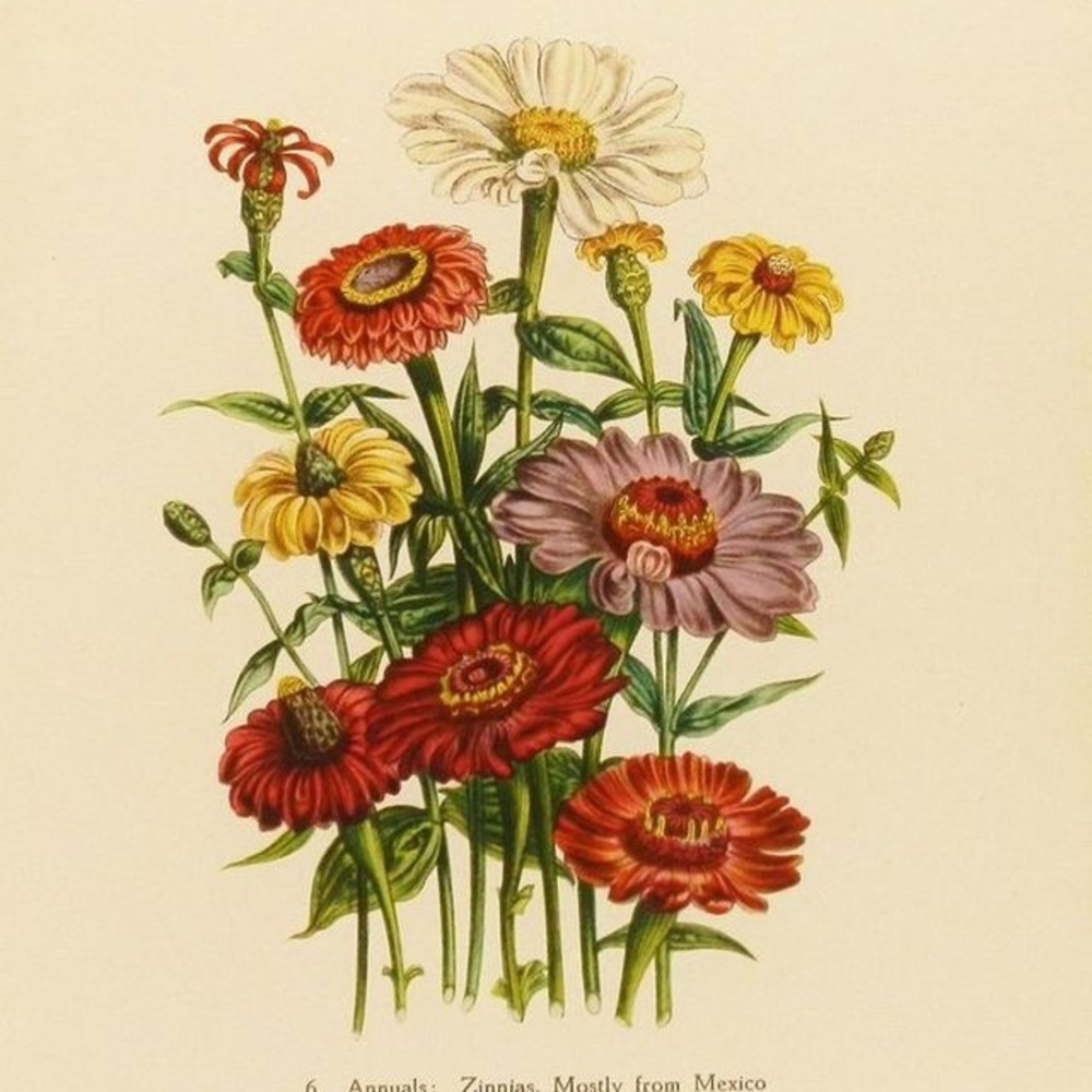 Meet your Posher, Annie